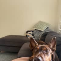 Photo of Rocky