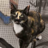 Photo of Marjorie