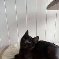 Photo of Laverne