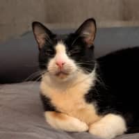 Photo of Silvana