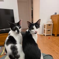 Photo of Manny And Munro