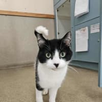Photo of Momo