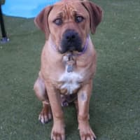 Photo of Gus