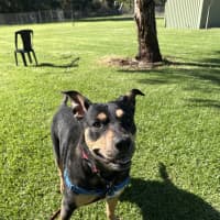Photo of Tinky