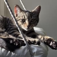Photo of Simeon