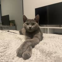 Photo of Sprinkle 🧁 