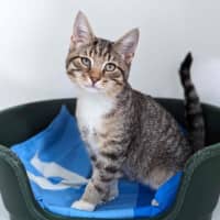 Photo of Luna