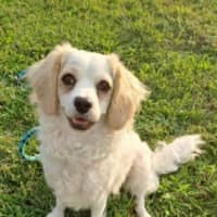 Photo of Mabel 