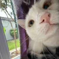 Photo of Sugar