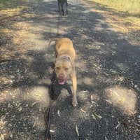 Photo of Nala