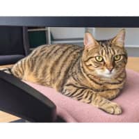 Photo of 12525   Zuzu