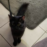 Photo of Sabrina