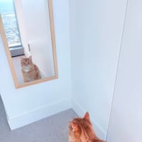 Photo of George