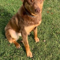 Photo of Nora