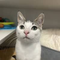 Photo of Lola