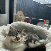 Photo of Hazel