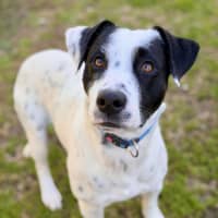Photo of Sully