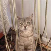 Photo of Patty