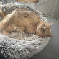 Photo of Thomas