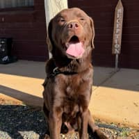 Photo of Duke