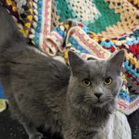 Photo of Allegro