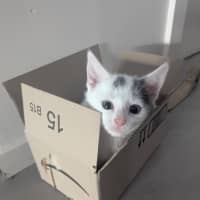 Photo of Mellie Baby