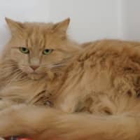 Photo of Alice Rsua009618