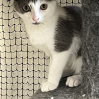 Photo of Woody