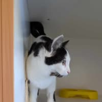 Photo of Bridget