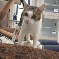 Photo of April (9172)