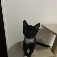 Photo of Evelyn