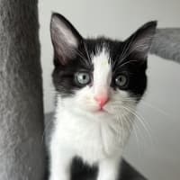 Photo of Tekapo 💙