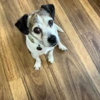 Photo of Coriolanus Snow Peggotty