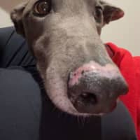 Photo of Cash