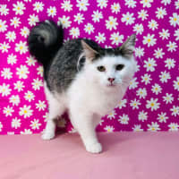 Photo of Edith   Located In Brunswick East