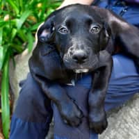 Photo of Madame Squish