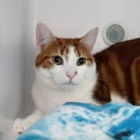 Photo of Sheldon Rsuk013808