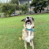 Photo of Turbo