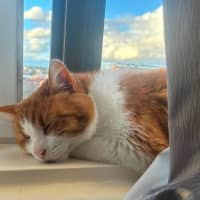 Photo of Charlie 