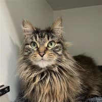 Photo of Bumpkin