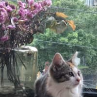 Photo of Moomoo & Bonbon