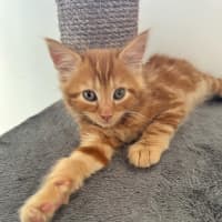 Photo of Benny & Gatsby