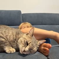 Photo of Nyitti