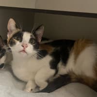 Photo of Fifi