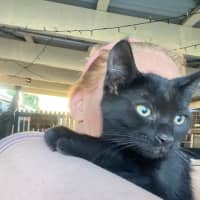 Photo of Prada & Vadar