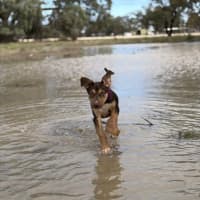 Photo of Winnie