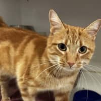 Photo of Bingo
