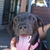 Photo of Kenzie