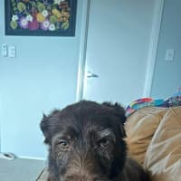 Photo of Bingo