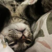 Photo of Mimi